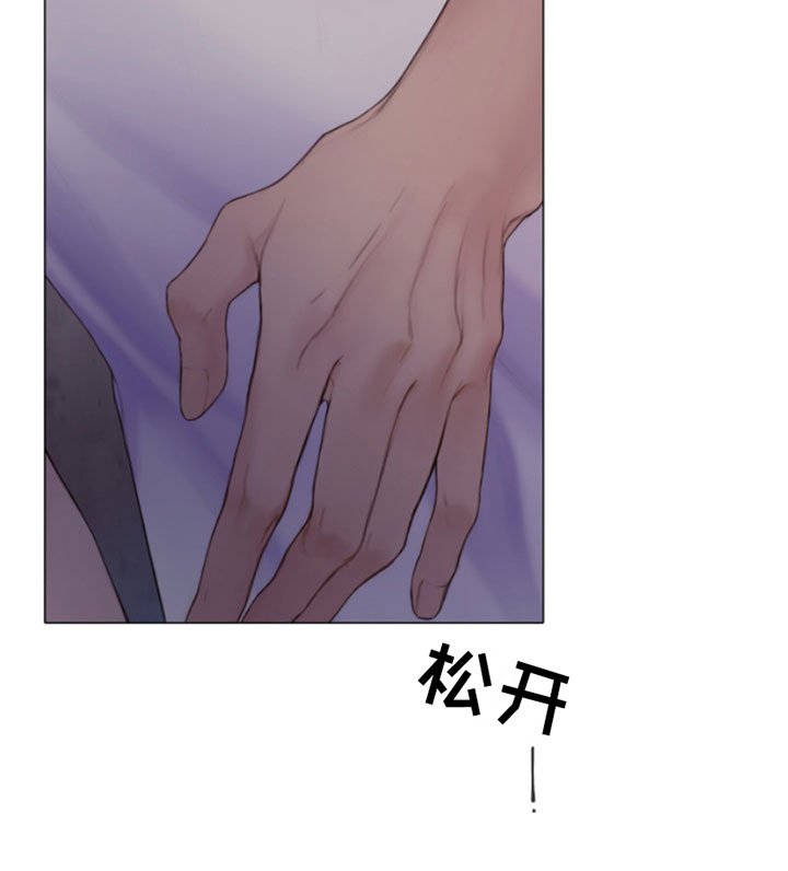 第17章：特别的目的