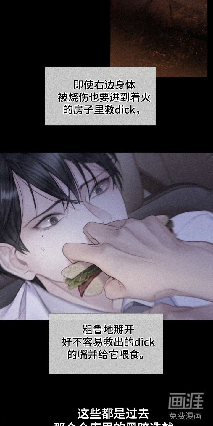 第21章：本能