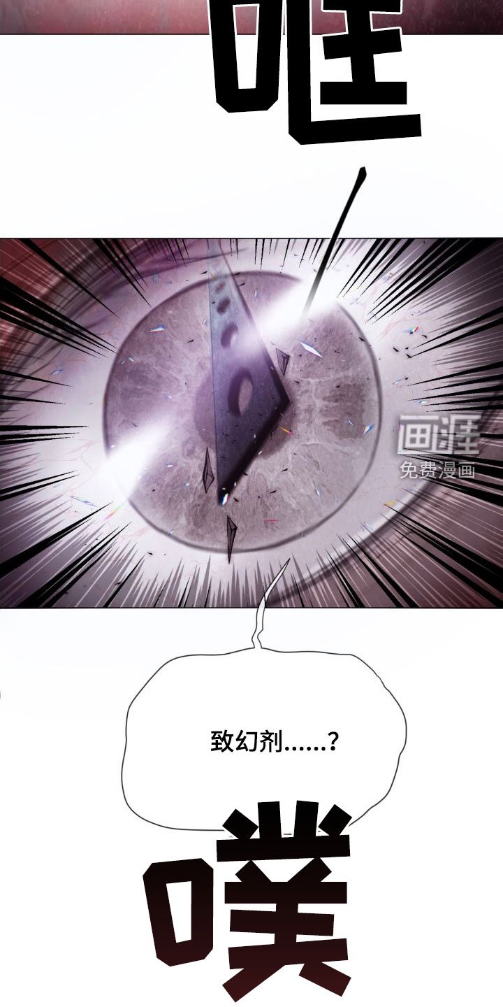 第27章：幻觉
