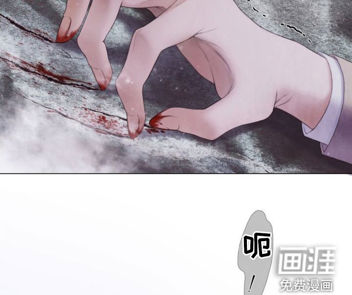 第27章：幻觉