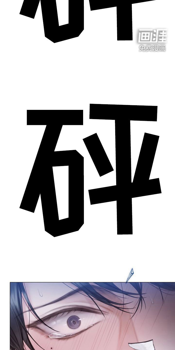 第29章：反抗