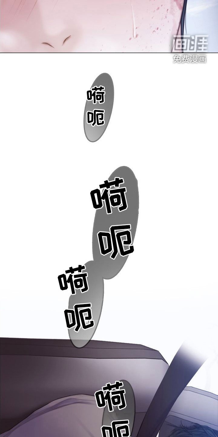 第29章：反抗