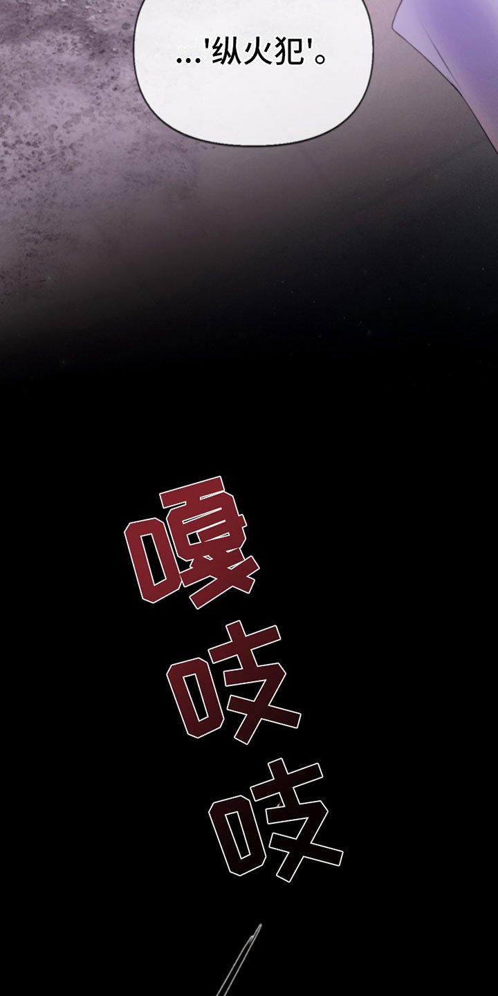 第3章：纵火犯