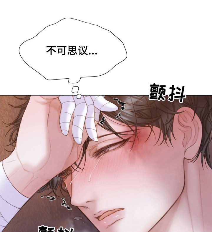 第37章：所希望的