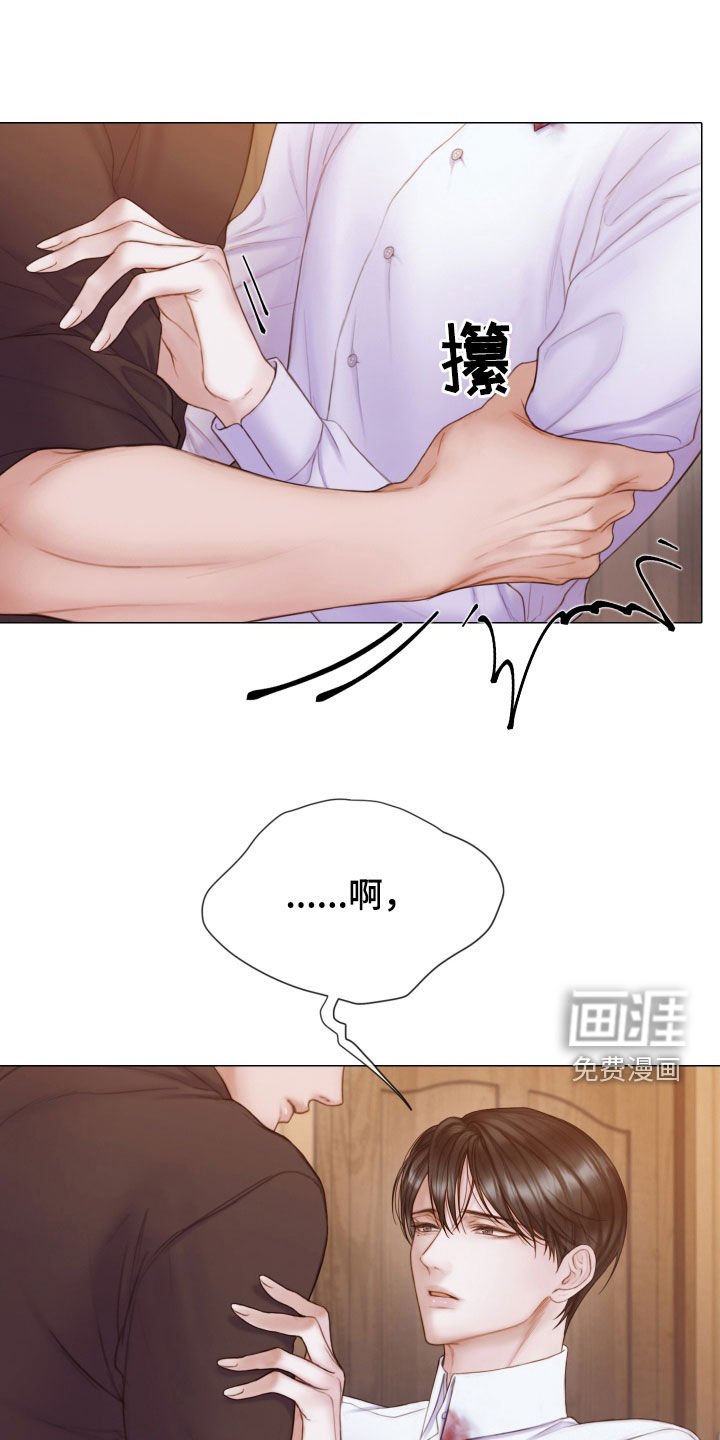 第41章：感情