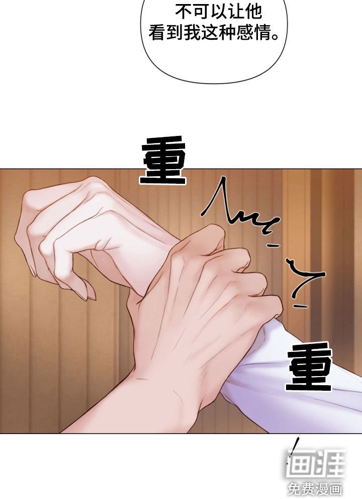 第41章：感情