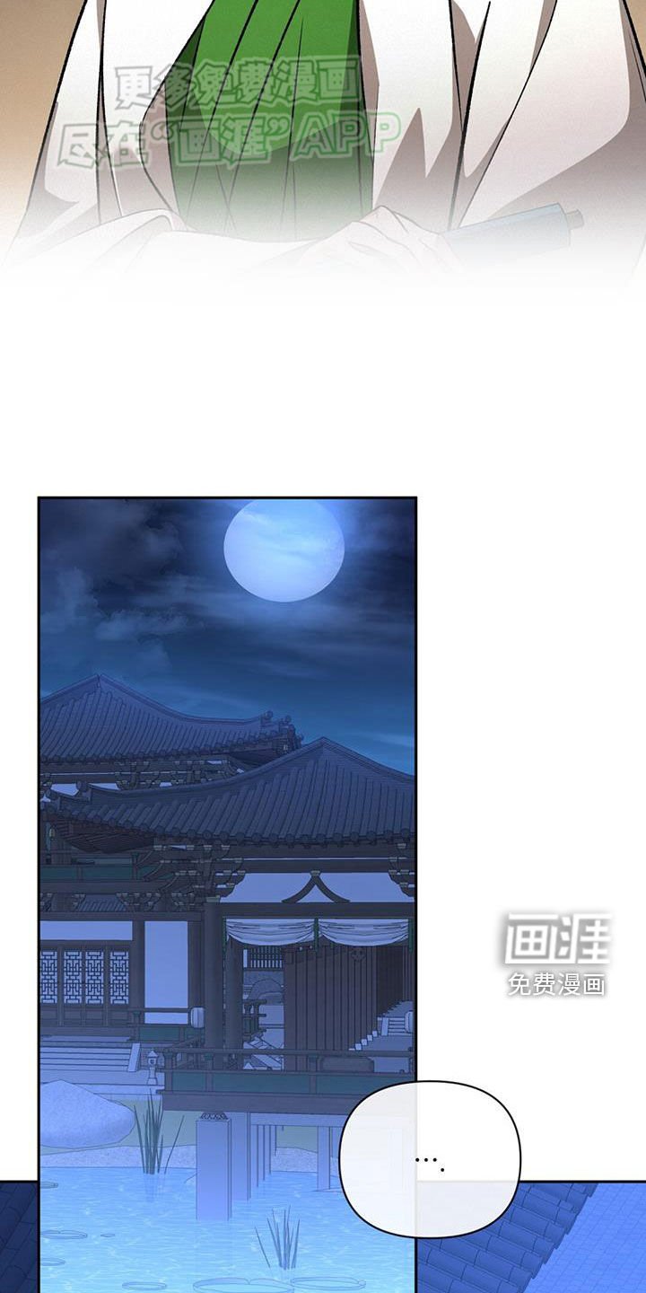 第113章：谋划