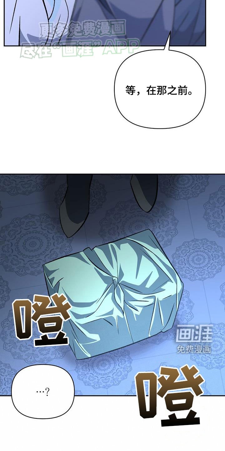 第113章：谋划