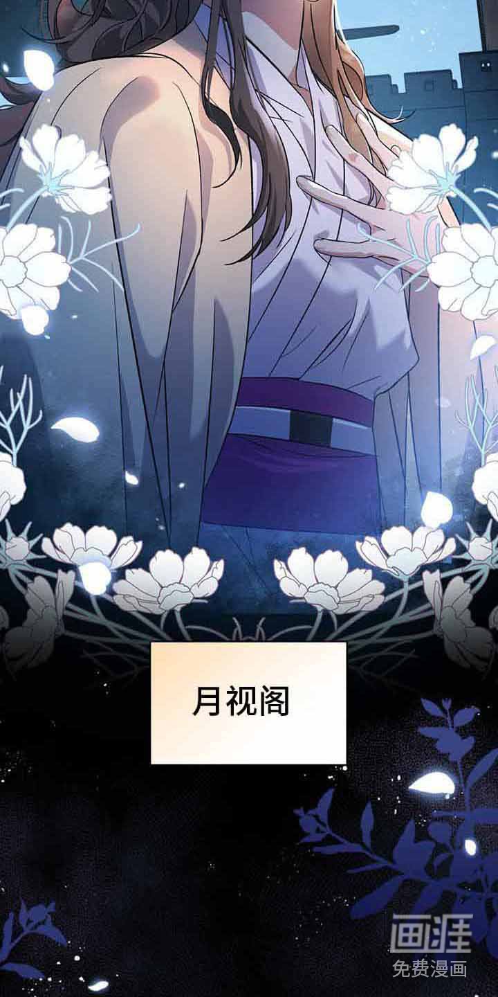 第20章：月视阁主