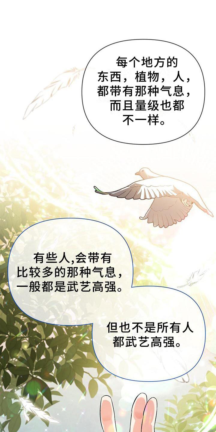 第29章：有趣