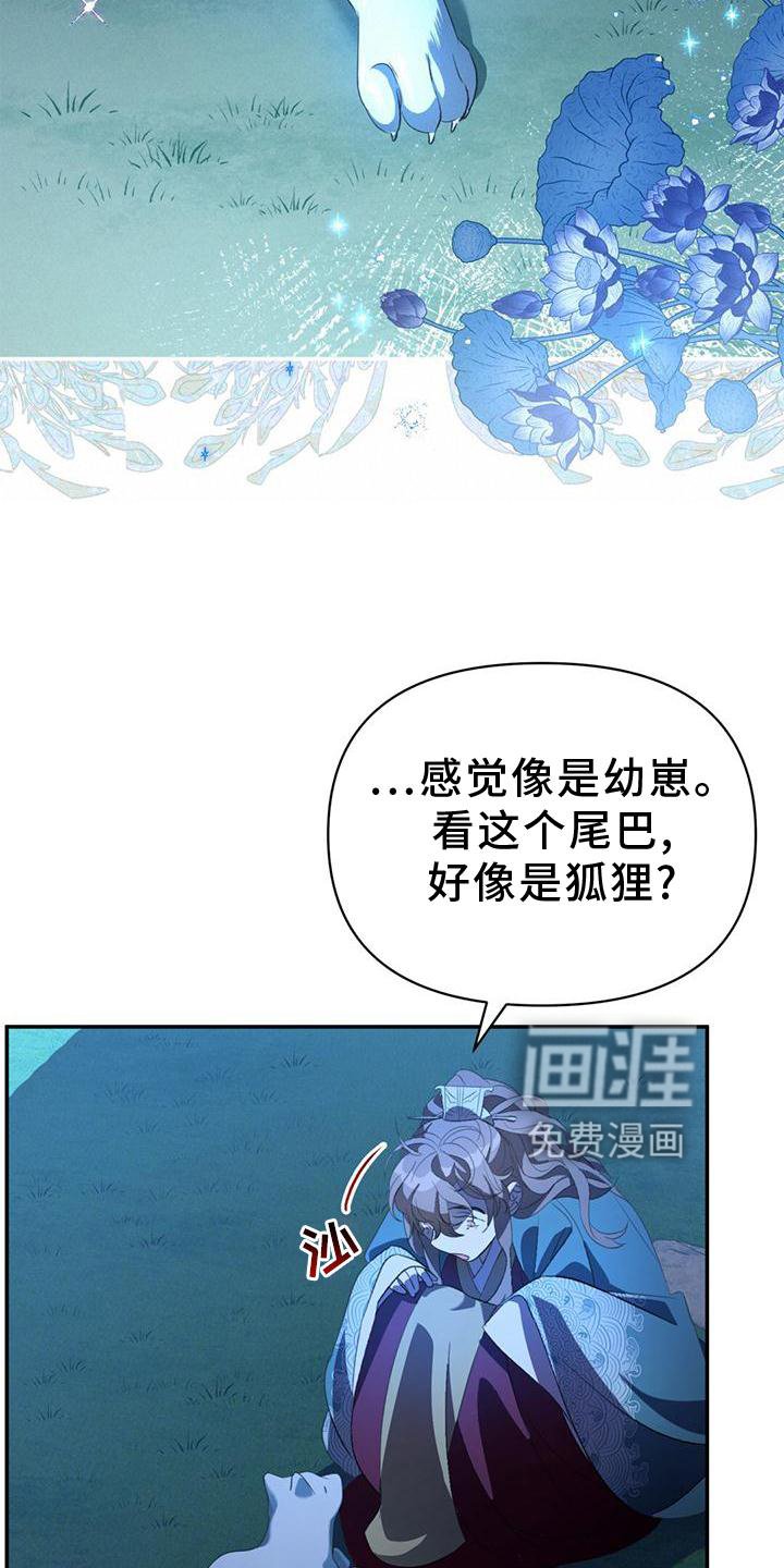 第37章：受伤