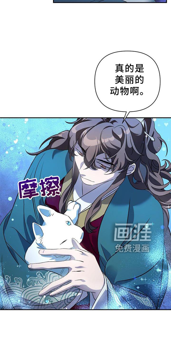 第37章：受伤