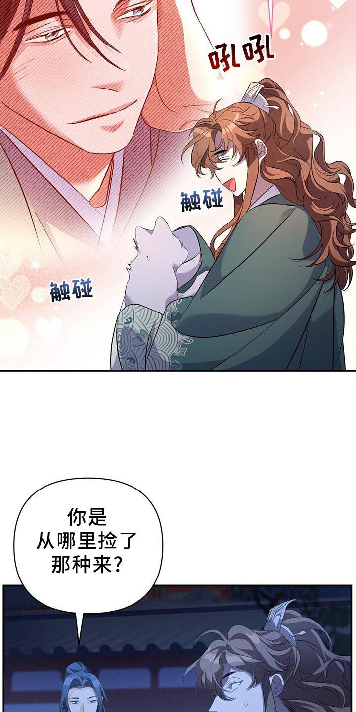 第37章：受伤