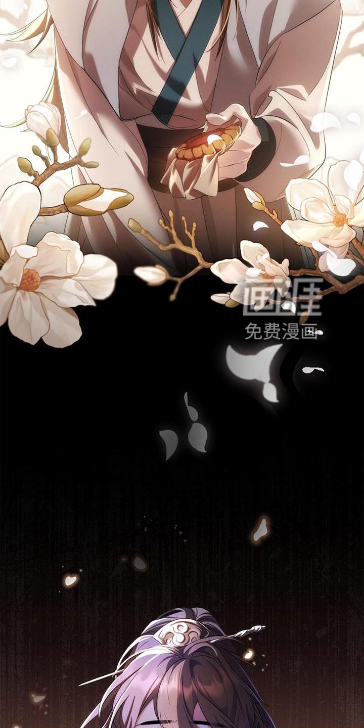 第55章：帷幕