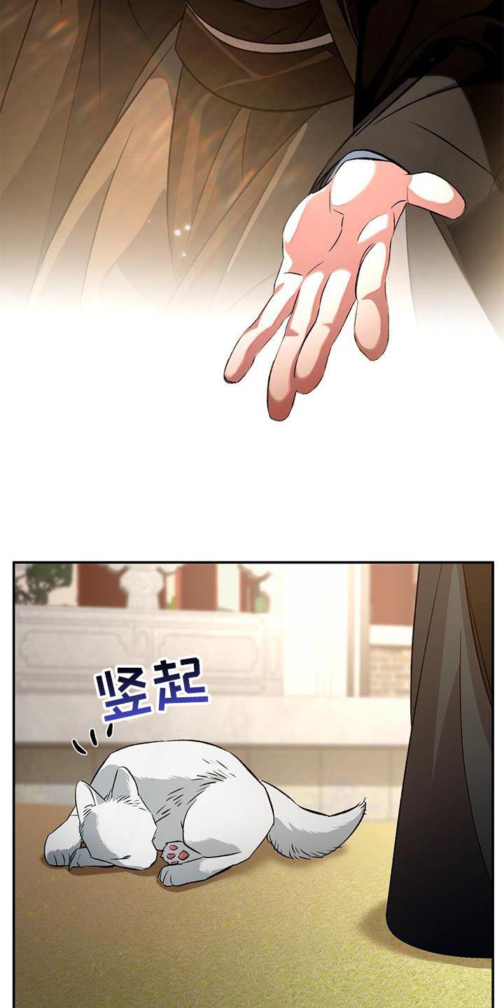 第56章：变幻兽