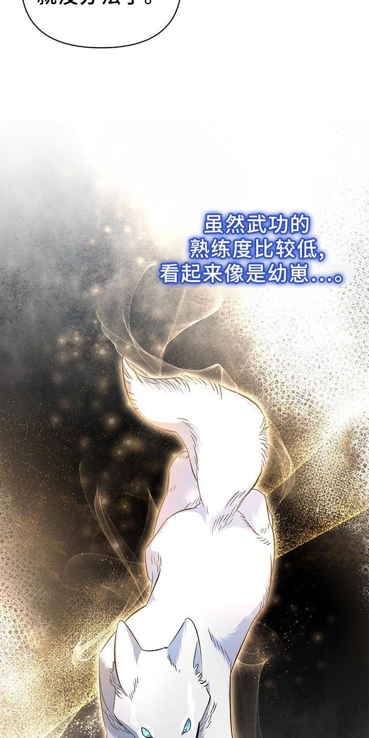 第56章：变幻兽
