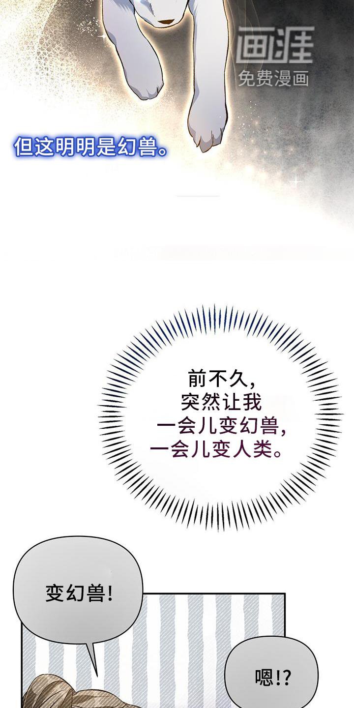 第56章：变幻兽