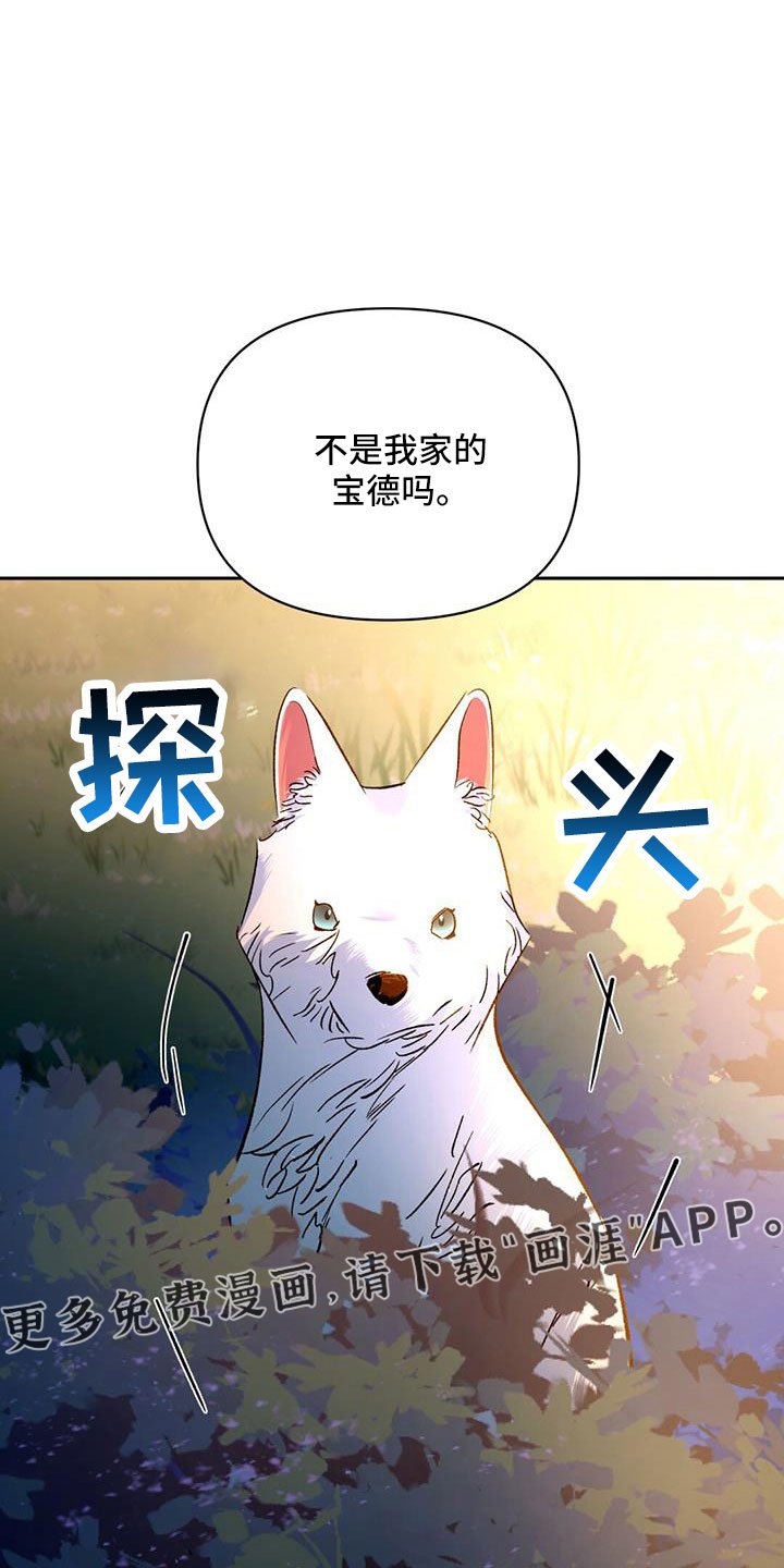 第82章：自作自受