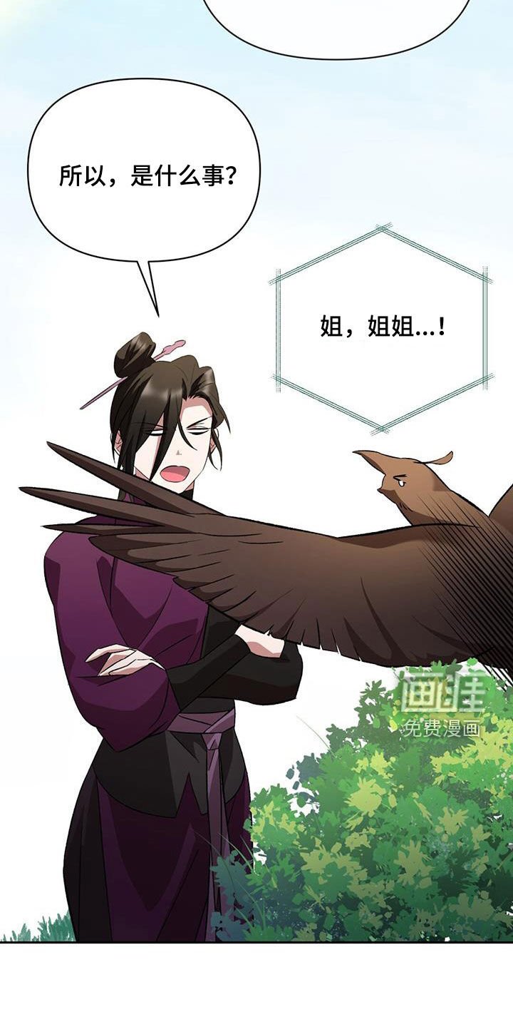 第93章：最好欺负