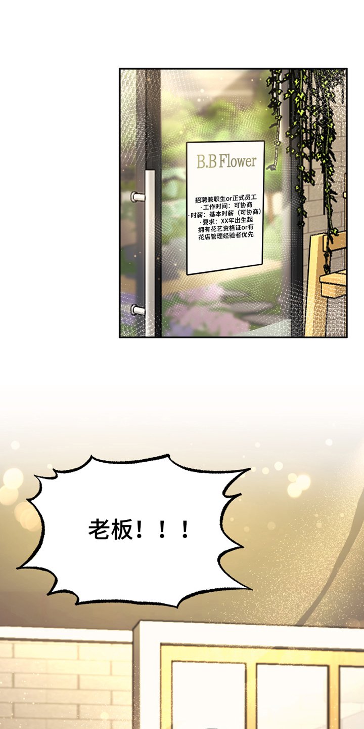第3章：应聘
