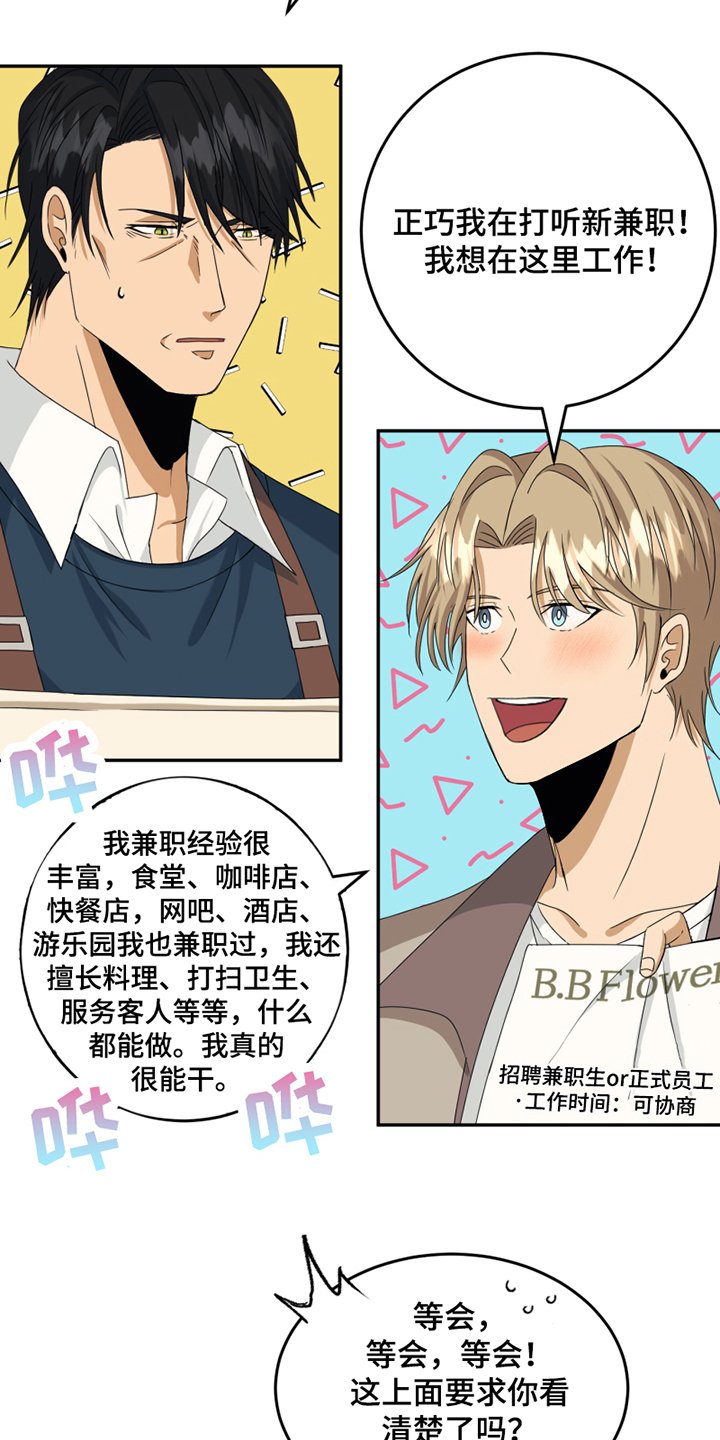 第3章：应聘