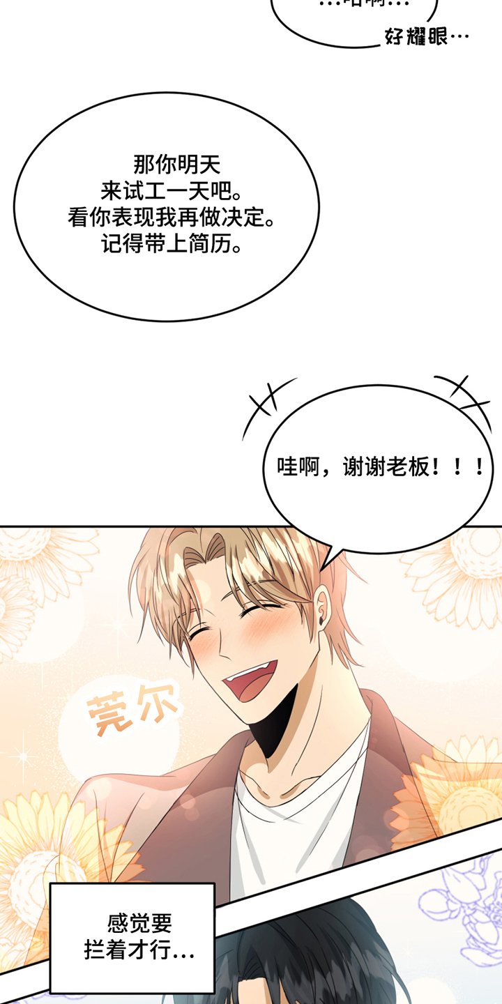 第3章：应聘