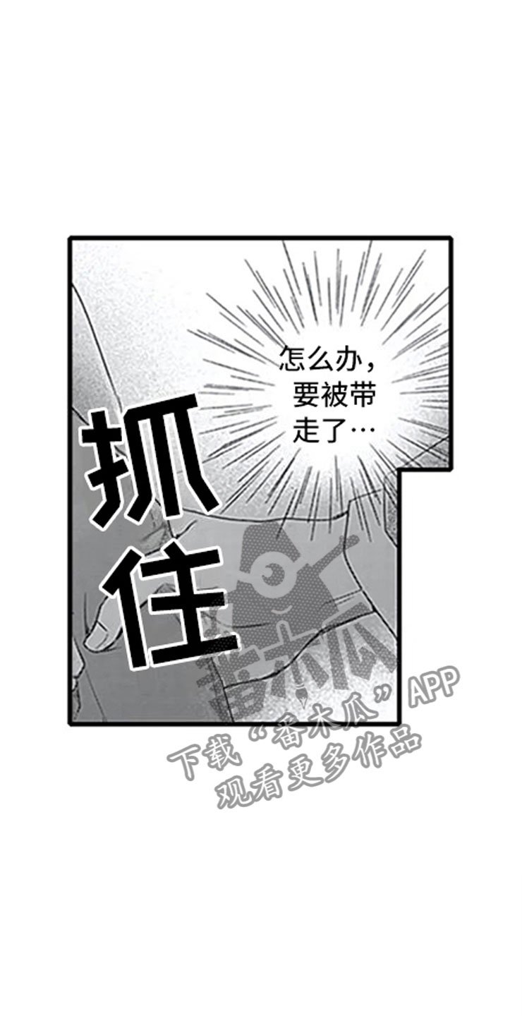 第12章：抓包
