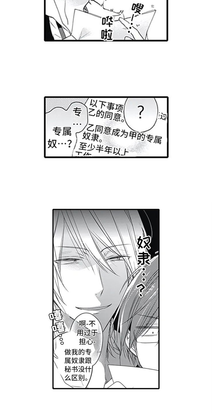 第2章：忽悠