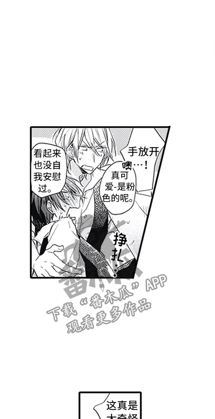第4章：玩耍