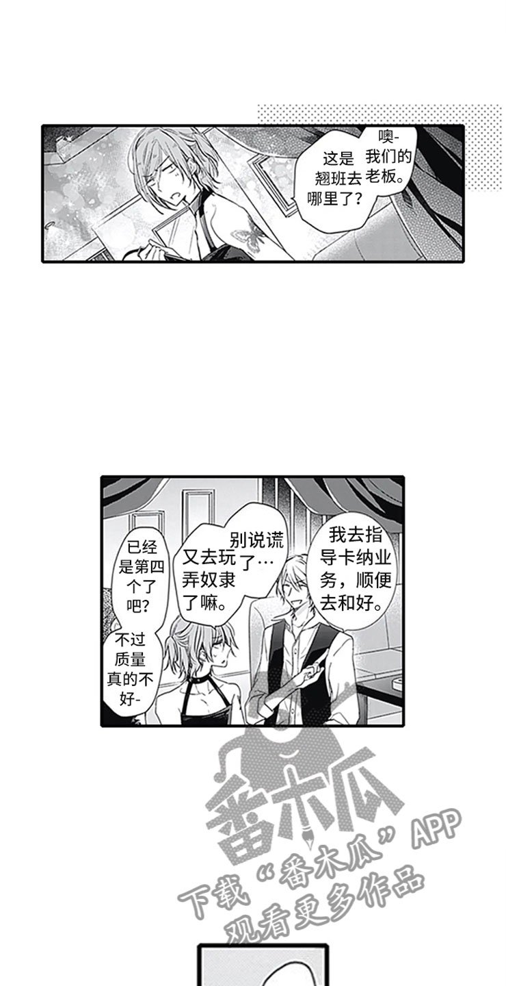 第5章：确认