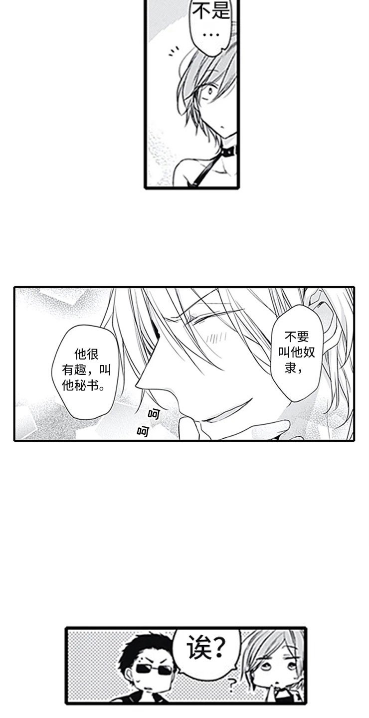 第5章：确认