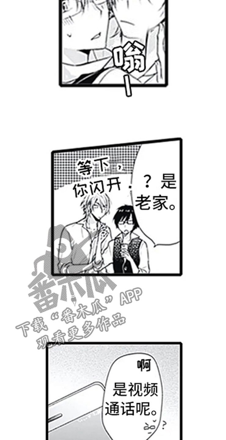 第6章：电话