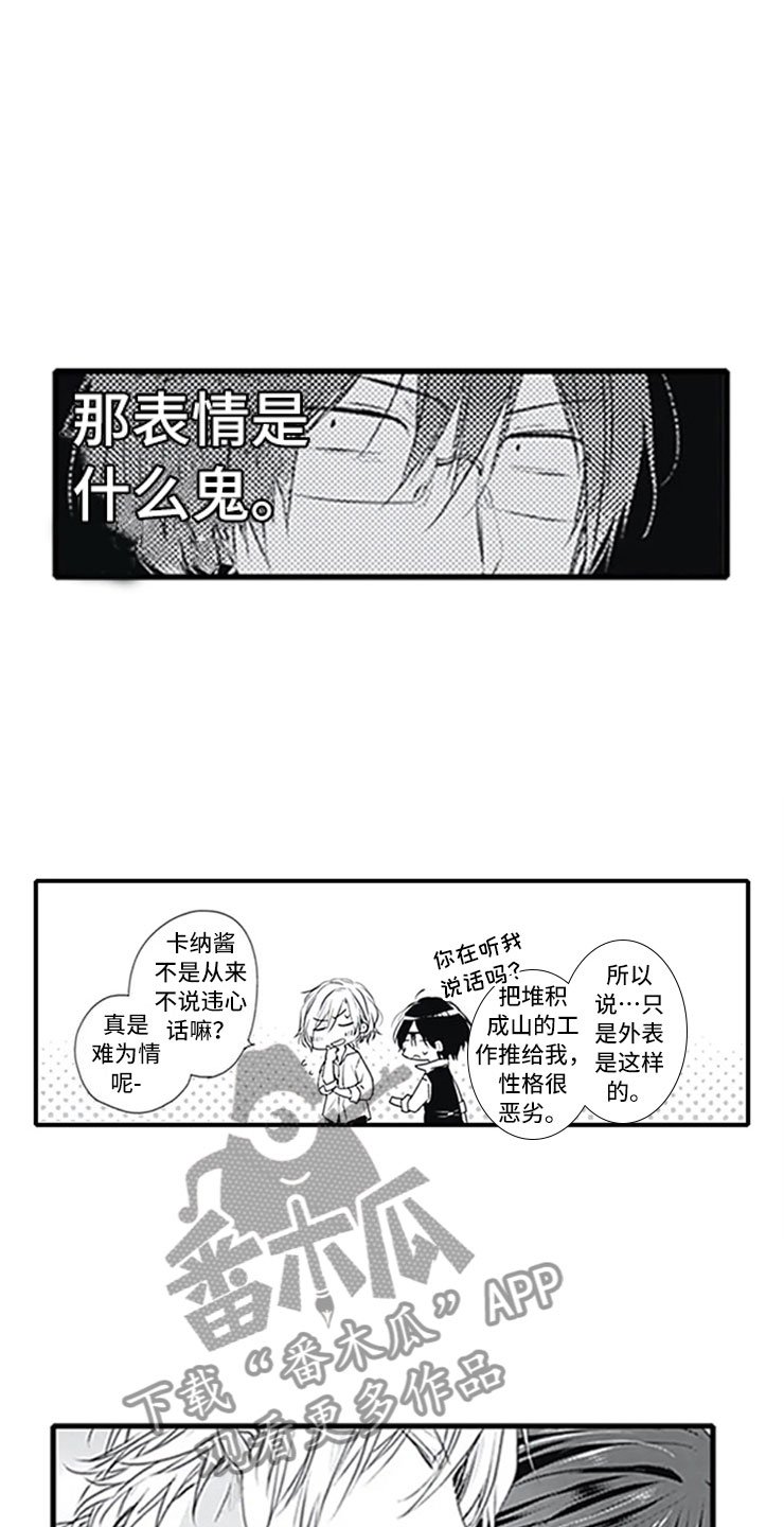 第7章：新人