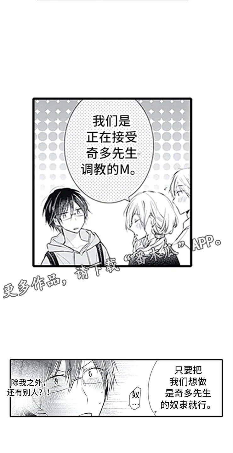 第7章：新人