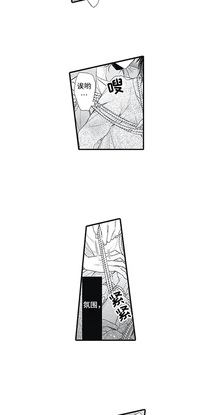 第9章：独占