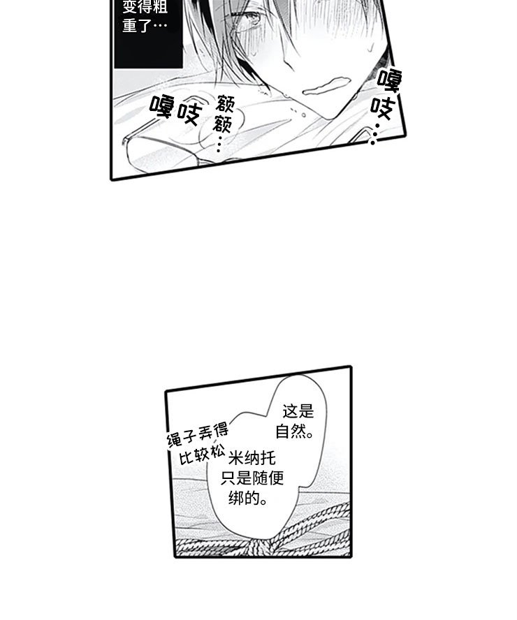 第9章：独占