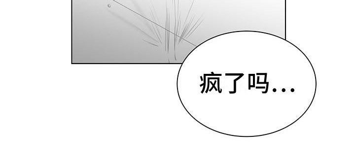 第45章：幻想