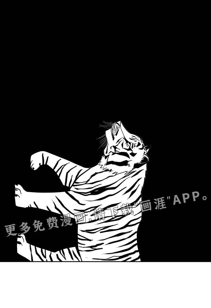 第111章：遇见老虎