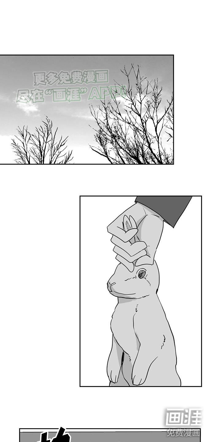 第148章：桃源香