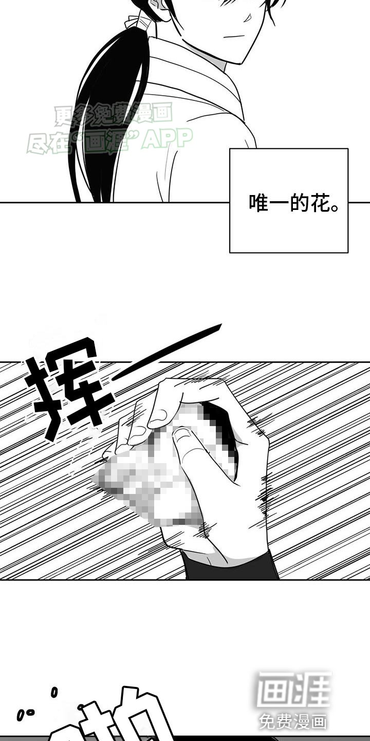 第157章：唯一的花