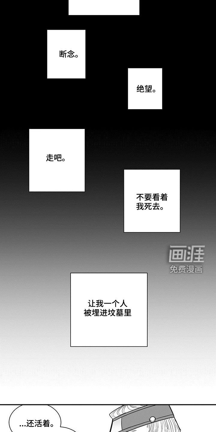 第29章：故事