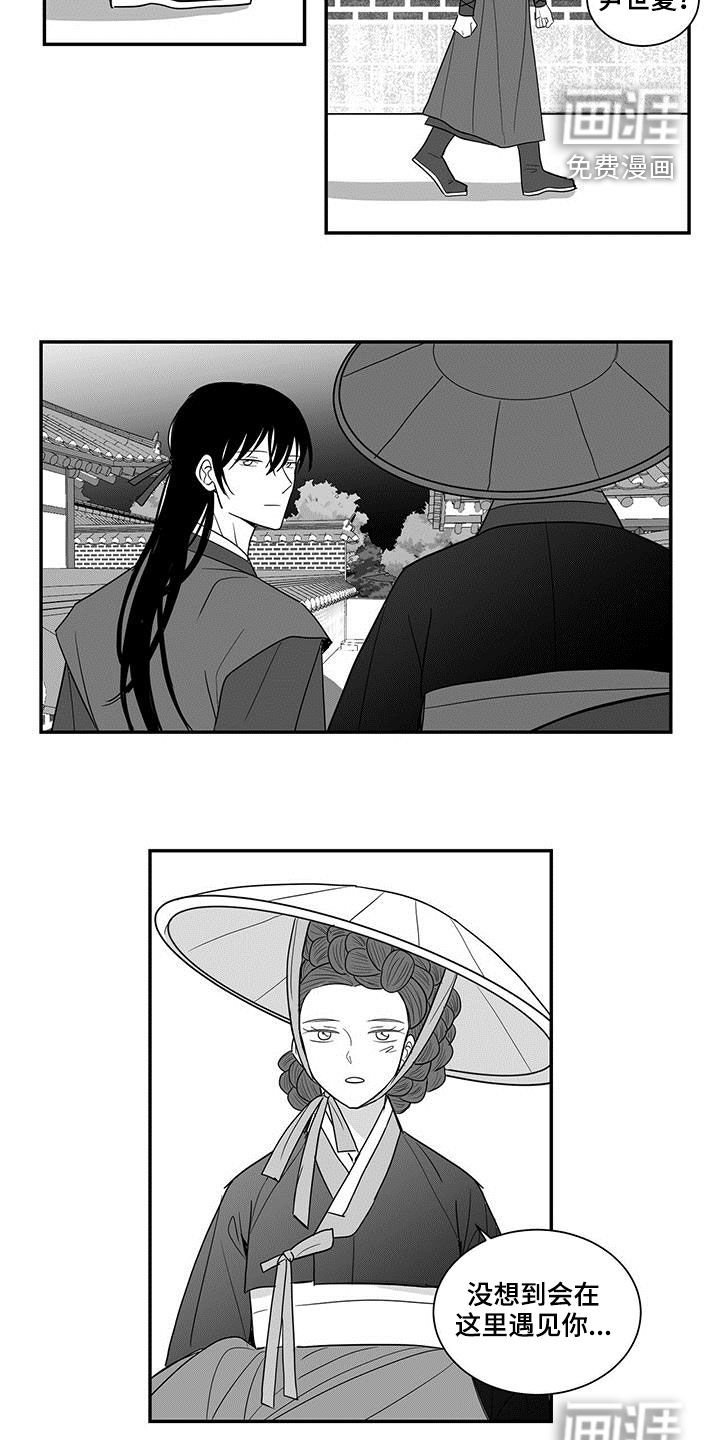 第46章：偶遇