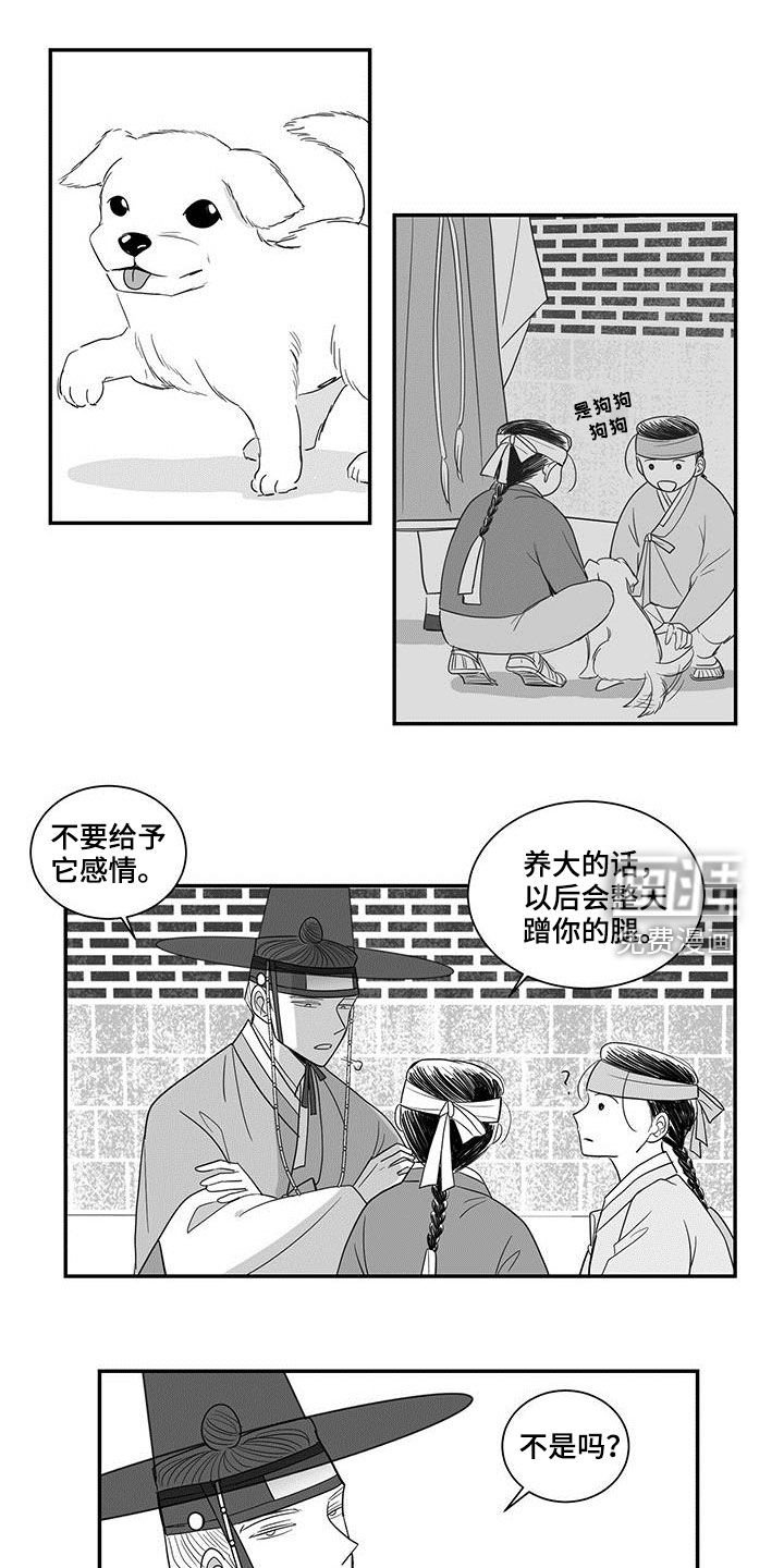第48章：尾随