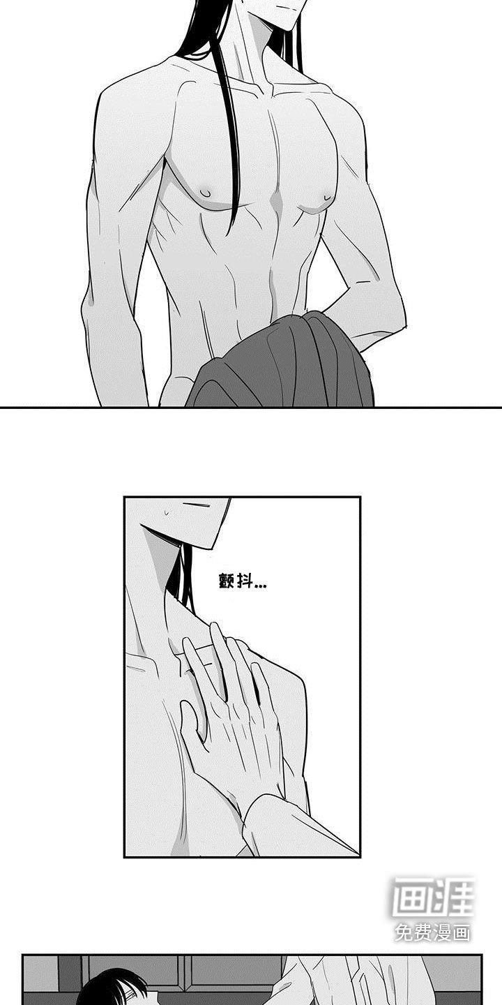 第50章：像梦一样