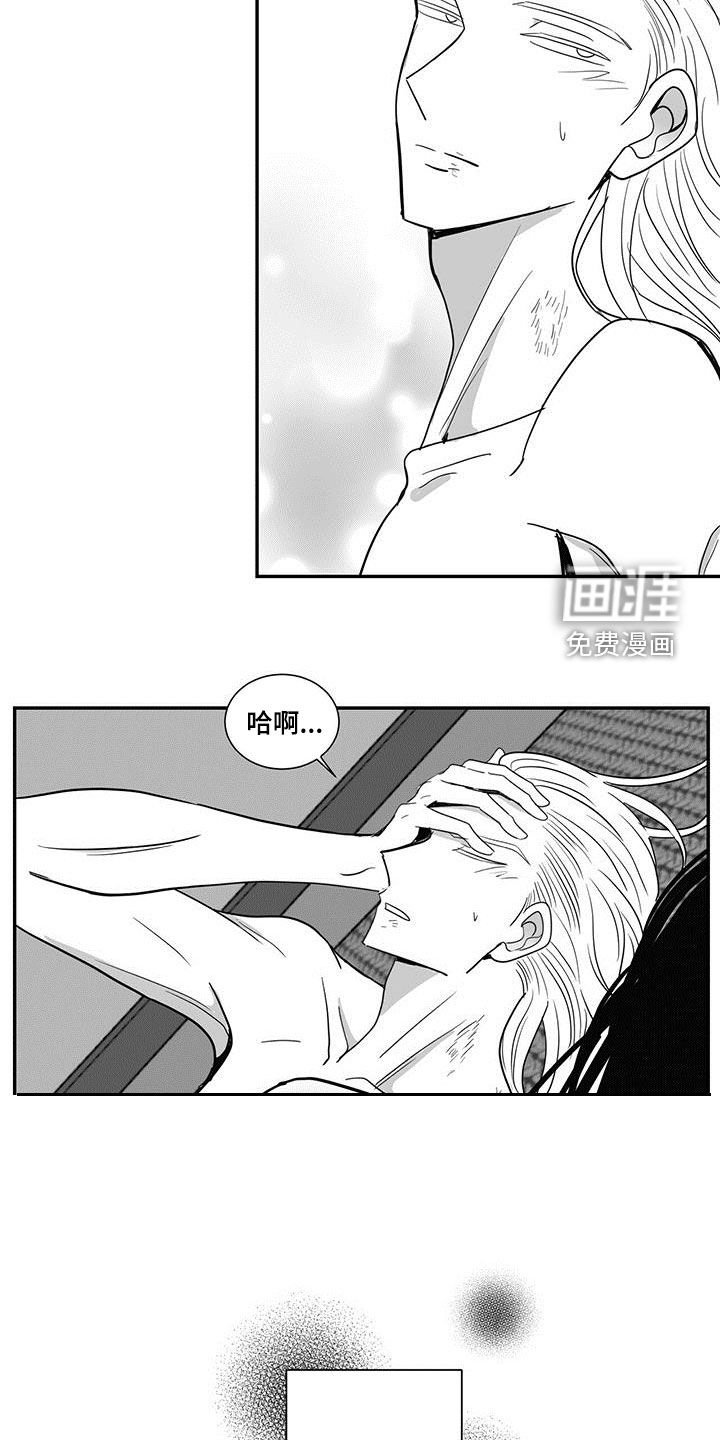 第51章：按我说的
