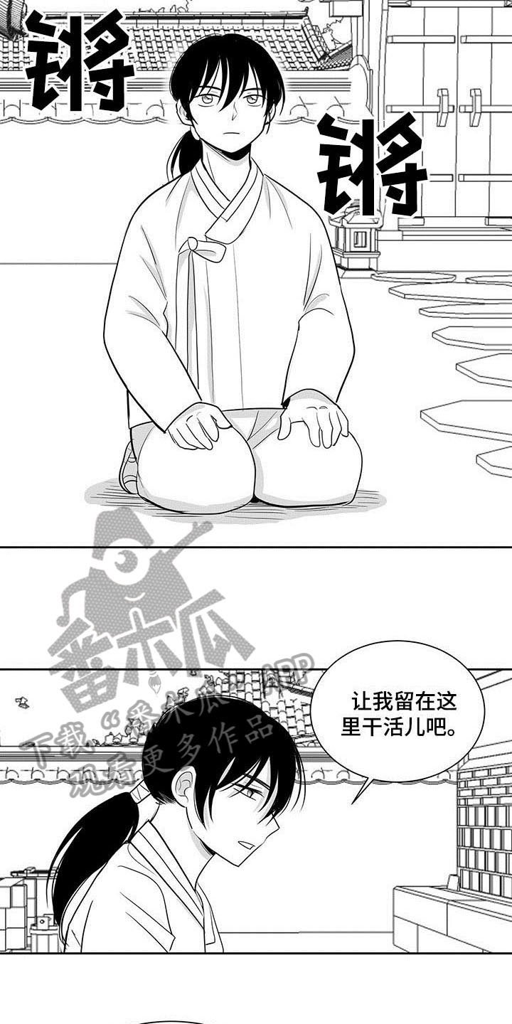 第6章：收留