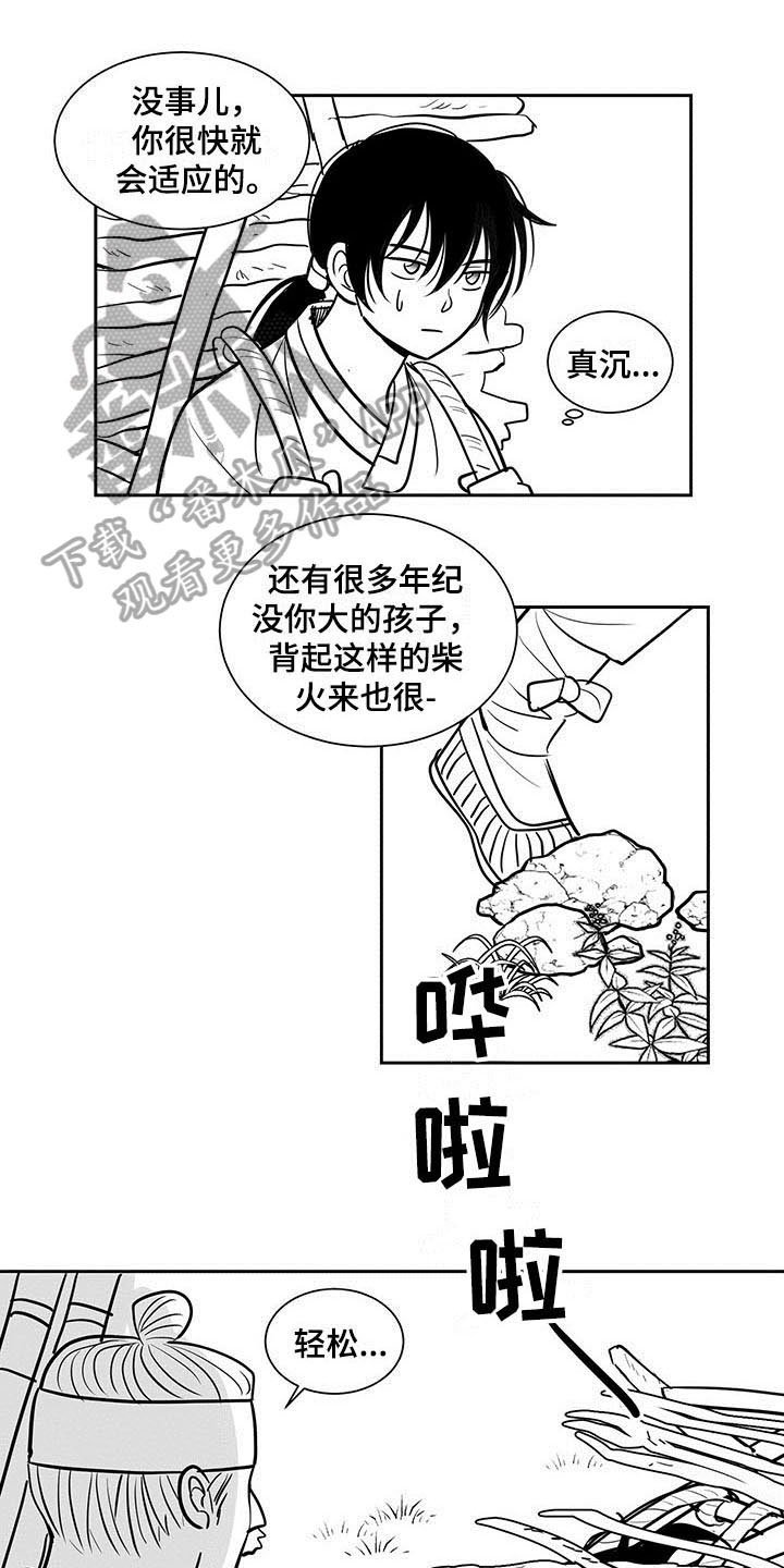 第7章：适应