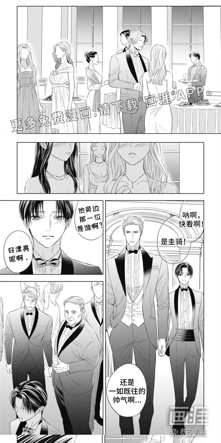 第23章：顶级欧米伽