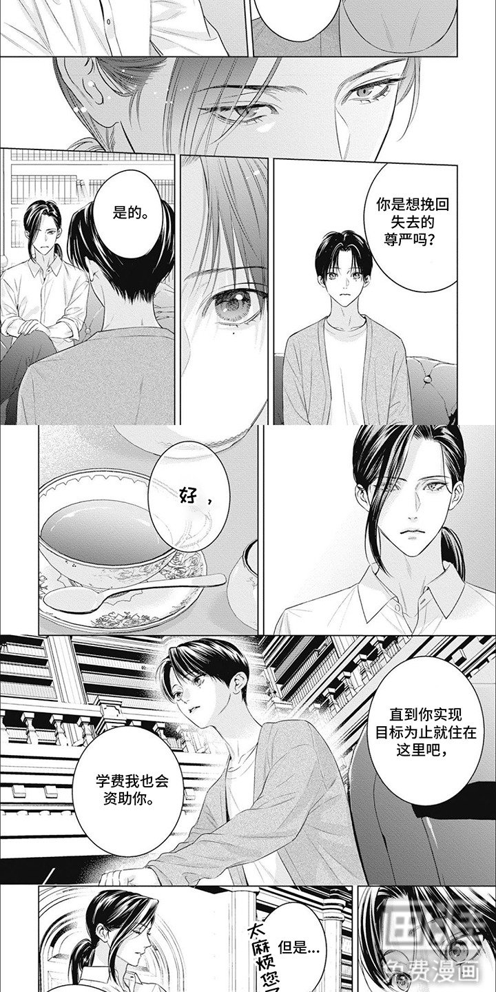 第52章：拭目以待