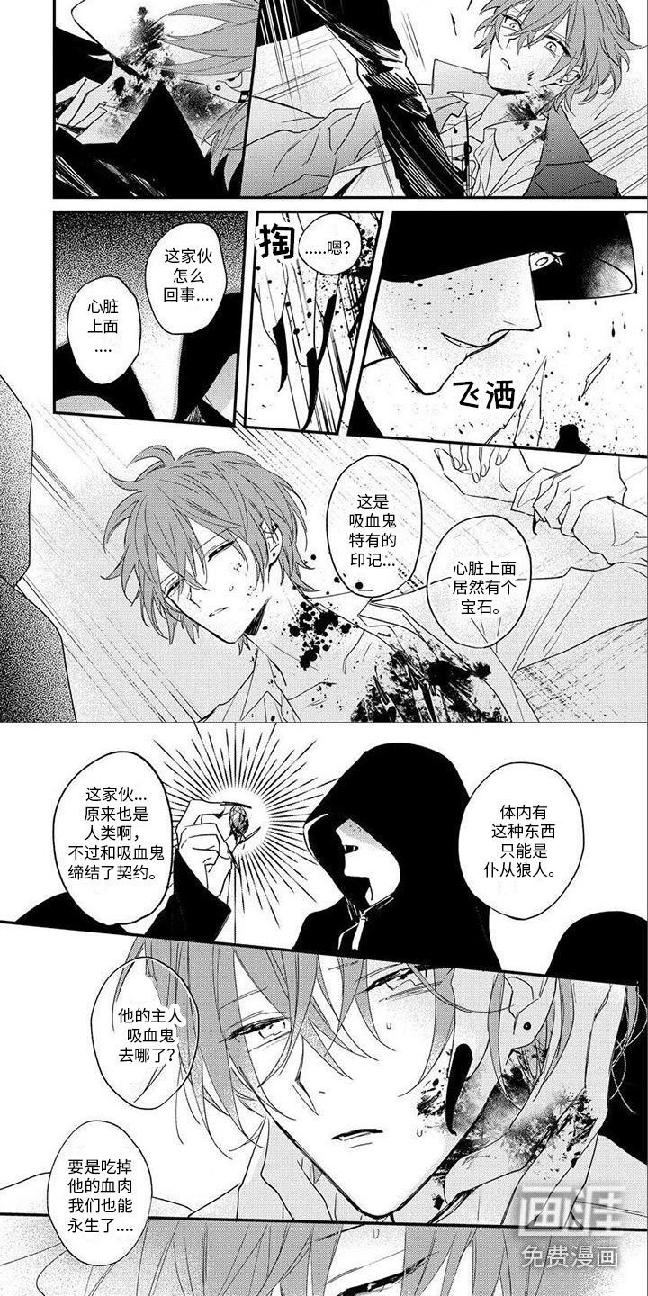 第14章：袭击